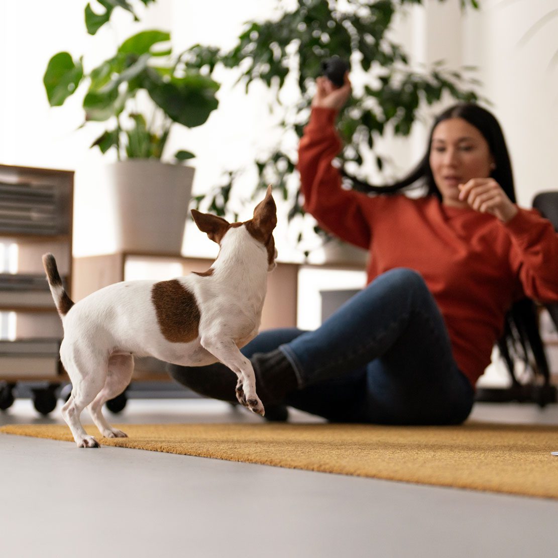 Indoor Air Quality Indoor Air Quality